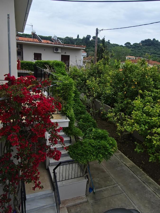 Vita Blu Apart/Hotel Tsilivi  Luaran gambar